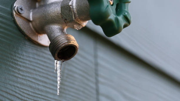 Best Emergency Plumber  in Forest City, FL
